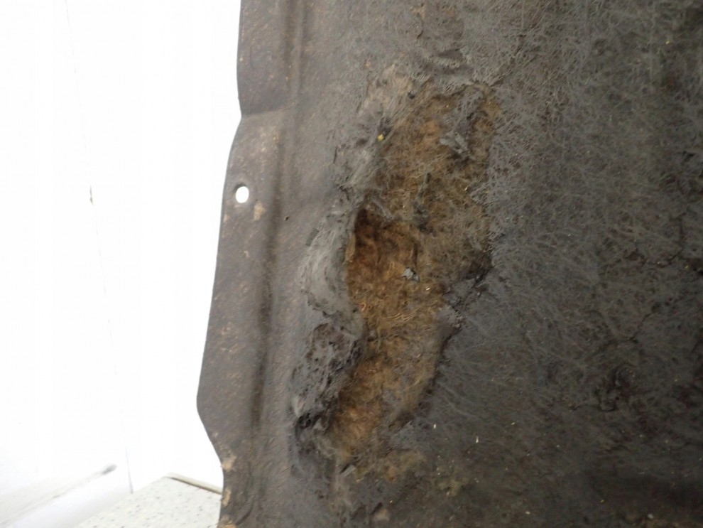 HONDA ACCORD CL VII 03- WYCISZENIE WYGŁUSZENIE MASKI 4/16