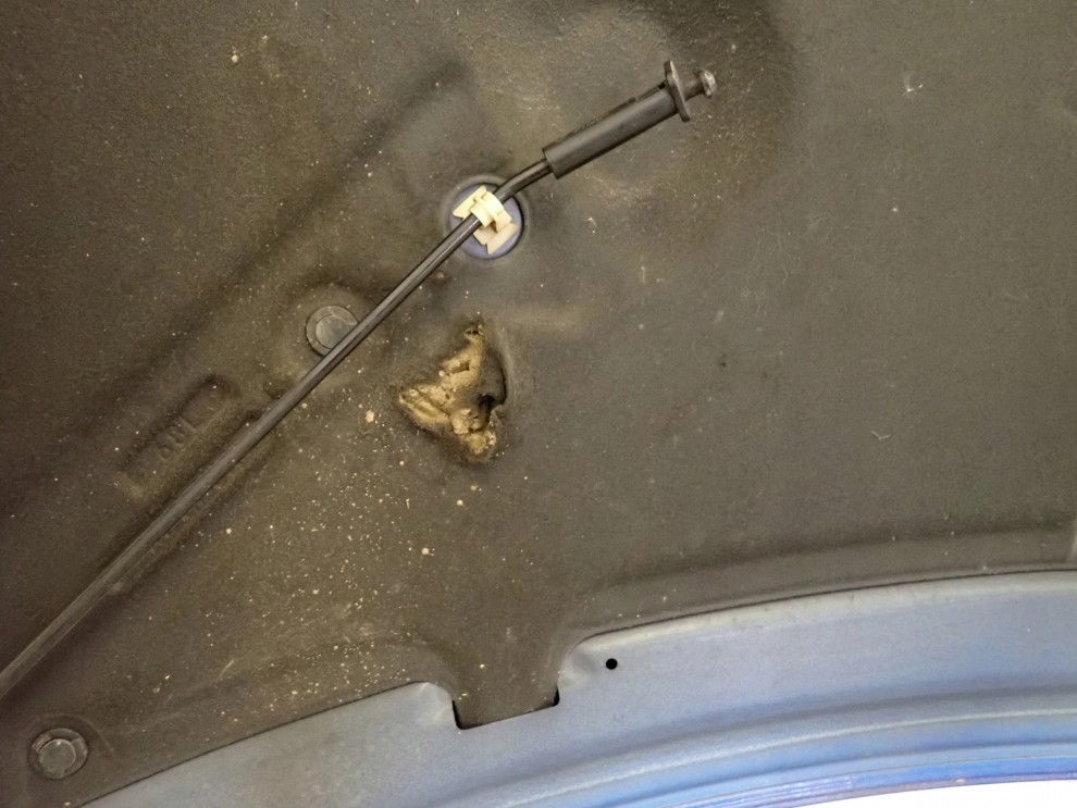 SUZUKI SWIFT MK7 10-16 MASKA POKRYWA SILNIKA ZCG 13/13