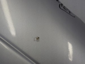 TOYOTA YARIS I 99-05 BŁOTNIK PRZEDNI PRAWY 1E7 3/11 MINIATURA