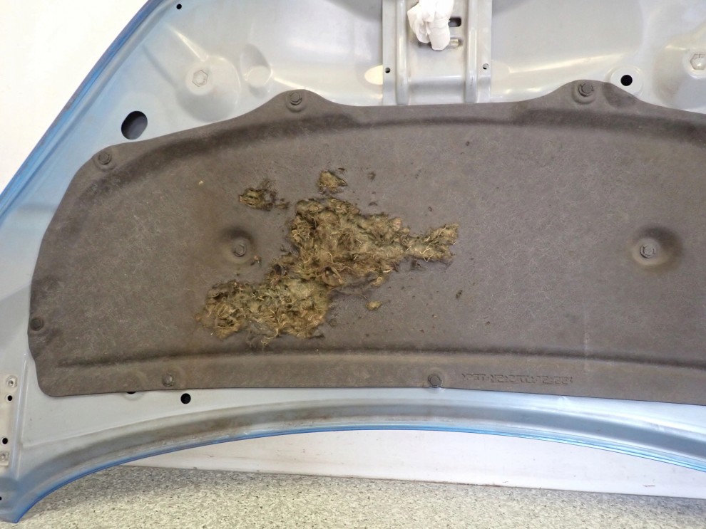 SUZUKI CELERIO 14-19 MASKA POKRYWA SILNIKA ZQE 14/14