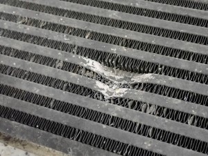 NISSAN PRIMERA P12 1.9 dCi INTERCOOLER CHŁODNICA 4/10 MINIATURA